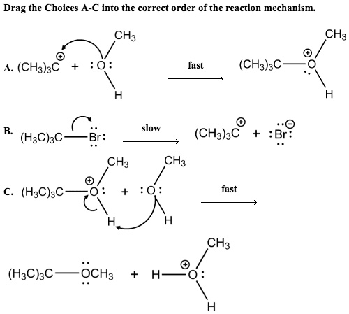 SOLVED: Drag the choices A-C into the correct order of the reaction ...