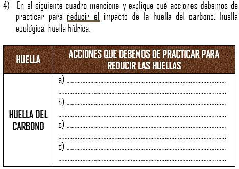 SOLVED: En El Siguiente Cuadro Mencione Y Explique Qué Acciones Debemos ...