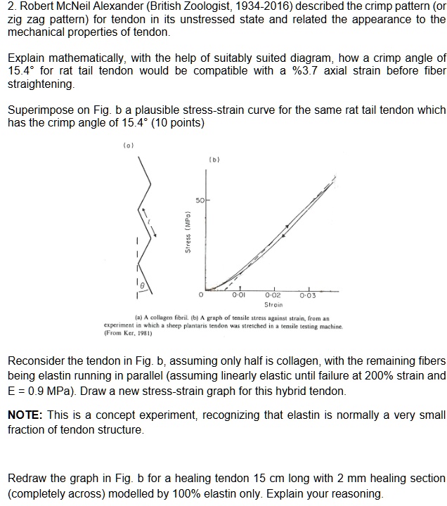 2. Robert McNeil Alexander (British Zoologist, 1934-2016) described the crimp pattern (or
zig zag pattern) for tendon in its unstressed state and related the appearance to the
mechanical properties of tendon.

Explain mathematically, with the help of suitably suited diagram, how a crimp angle of
15.4  for rat tail tendon would be compatible with a %3.7 axial strain before fiber
straightening.

Superimpose on Fig. b a plausible stress-strain curve for the same rat tail tendon which
has the crimp angle of 15.4  (10 points)

(a)
(b)
Stress (MPa)
50
0
0.01
0.02
0.03
Strain
(a) A collagen fibril. (b) A graph of tensile stress against strain, from an
experiment in which a sheep plantaris tendon was stretched in a tensile testing machine.
(From Ker, 1981)

Reconsider the tendon in Fig. b, assuming only half is collagen, with the remaining fibers
being elastin running in parallel (assuming linearly elastic until failure at 200% strain and
E = 0.9 MPa). Draw a new stress-strain graph for this hybrid tendon.

NOTE: This is a concept experiment, recognizing that elastin is normally a very small
fraction of tendon structure.

Redraw the graph in Fig. b for a healing tendon 15 cm long with 2 mm healing section
(completely across) modelled by 100% elastin only. Explain your reasoning.