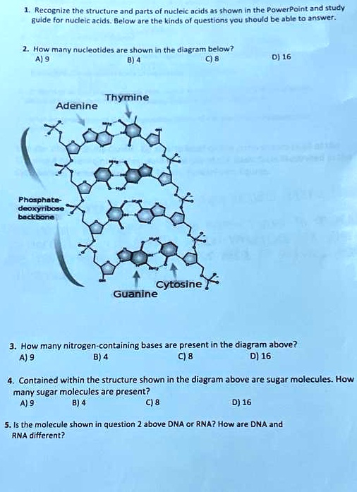 1. Recognize the structure and parts of nucleic acids as...