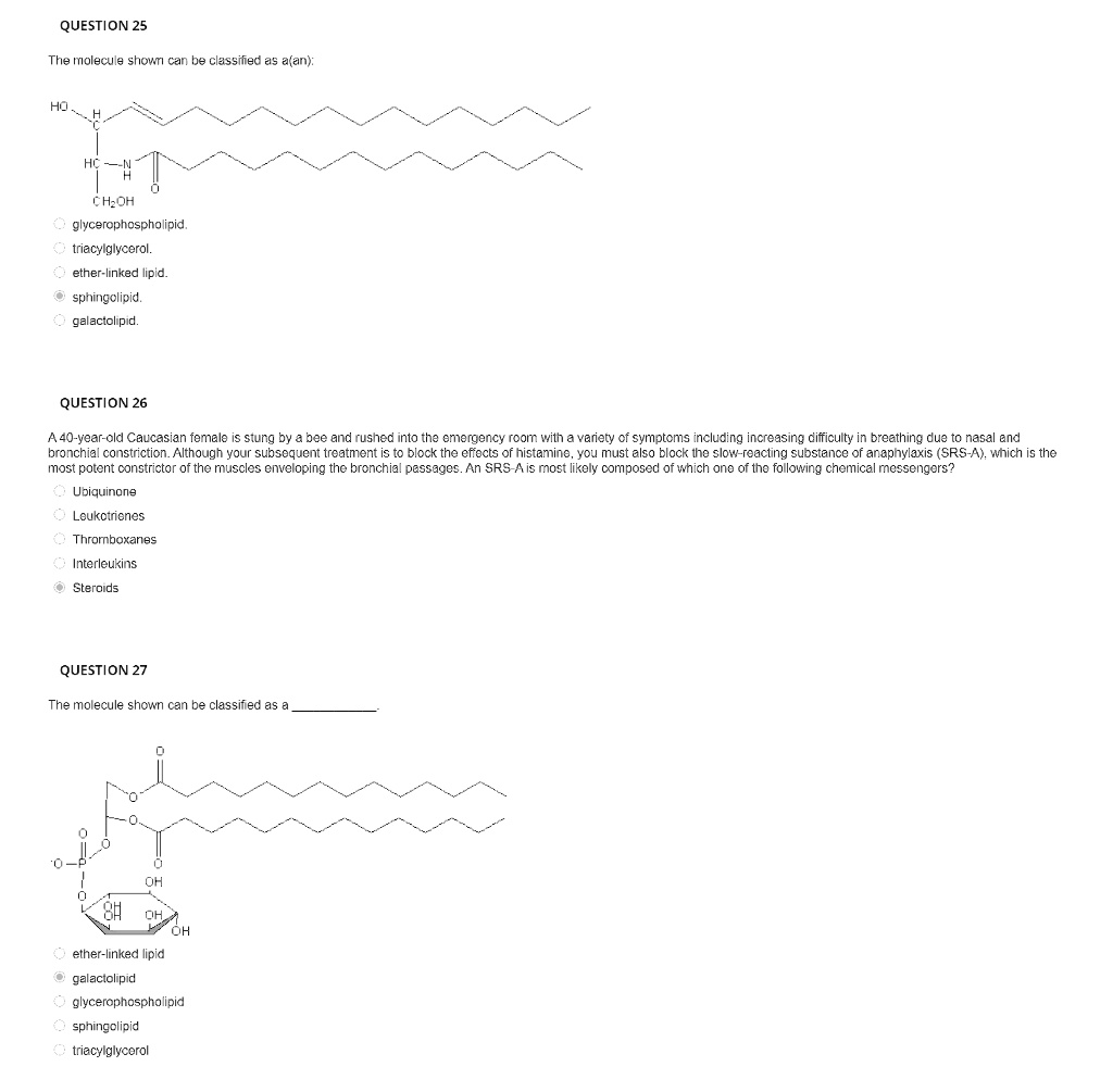 solved-the-molecule-shown-can-be-classified-as-a-an-the-molecule