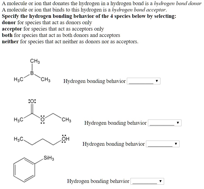 what-is-hydrogen-bonding