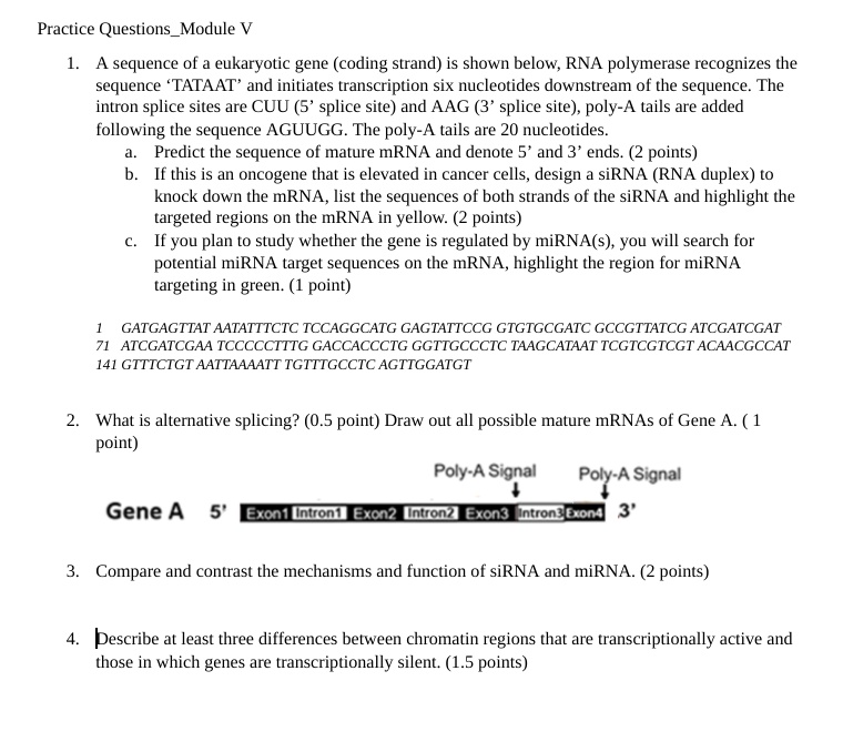 SOLVED: A sequence of eukaryotic gene (coding strand) is shown below ...