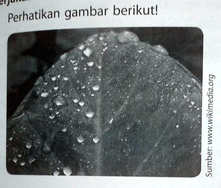 SOLVED: A. Jelaskan Perubahan Wujud Benda Yangterjadi Dalam Peristiwa ...