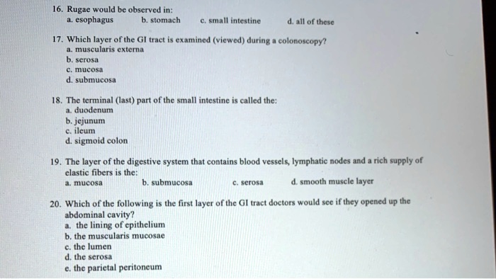 16. Rugae would be observed in:
a. esophagus
b. stomach
c. small intestine
d. all of these
17. Which layer of the GI tract is examined (viewed) during a colonoscopy?
a. muscularis externa
b. serosa
c. mucosa
d. submucosa
18. The terminal (last) part of the small intestine is called the:
a. duodenum
b. jejunum
c. ileum
d. sigmoid colon
19. The layer of the digestive system that contains blood vessels, lymphatic nodes and a rich supply of
elastic fibers is the:
a. mucosa
b. submucosa
c. serosa
d. smooth muscle layer
20. Which of the following is the first layer of the GI tract doctors would see if they opened up the
abdominal cavity?
a. the lining of epithelium
b. the muscularis mucosae
c. the lumen
d. the serosa
e. the parietal peritoneum