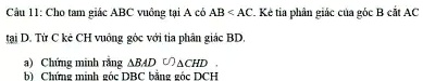 Câu 11: Cho tam giác ABC vuông t?i A có AB < AC. K? tia phân giác c?a góc B c?t AC t?i D. T? C k? CH vuông góc v?i tia phân giác BD.
a) Ch?ng minh r?ng BAD ∼ CHD.
b) Ch?ng minh góc DBC b?ng góc DCH