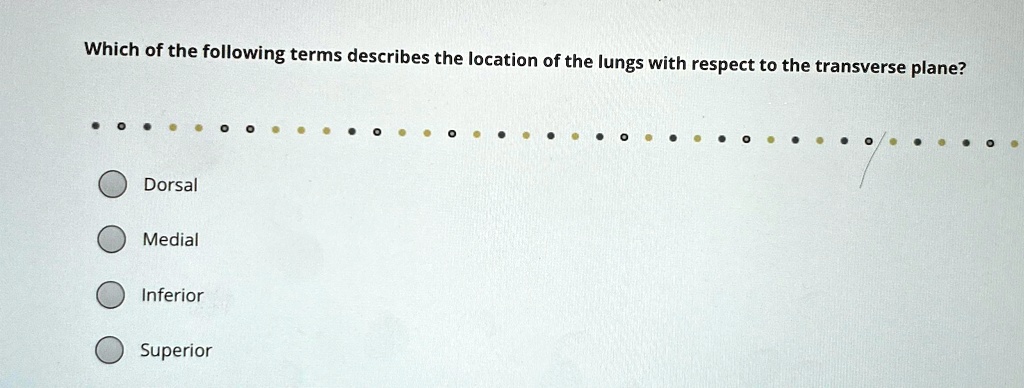 SOLVED: Which of the following terms describes the location of the ...