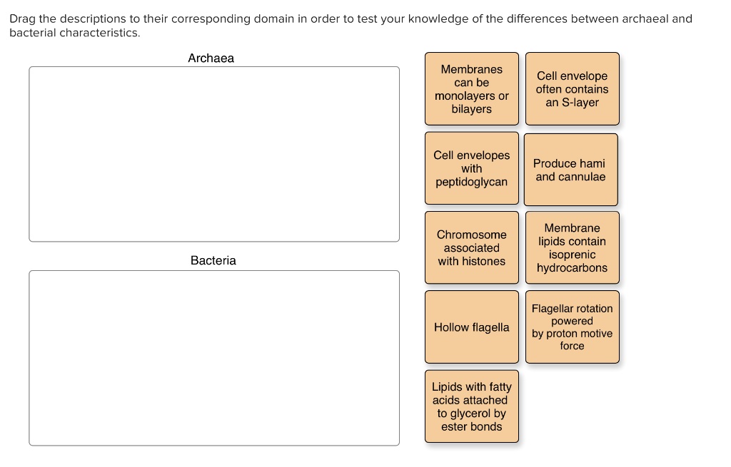 drag-the-descriptions-to-their-corresponding-domain-in-order-to-test