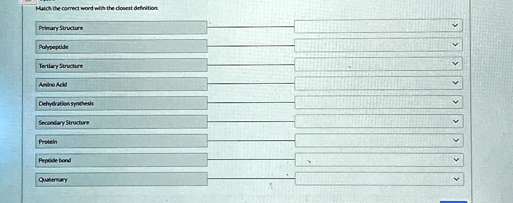 Match the correct word with the closest definition:
Primary Structure
Polypeptide
Tertiary Structure
Amino Acid
Dehydration synthesis
Secondary Structure
Protein
Peptide bond
Quaternary