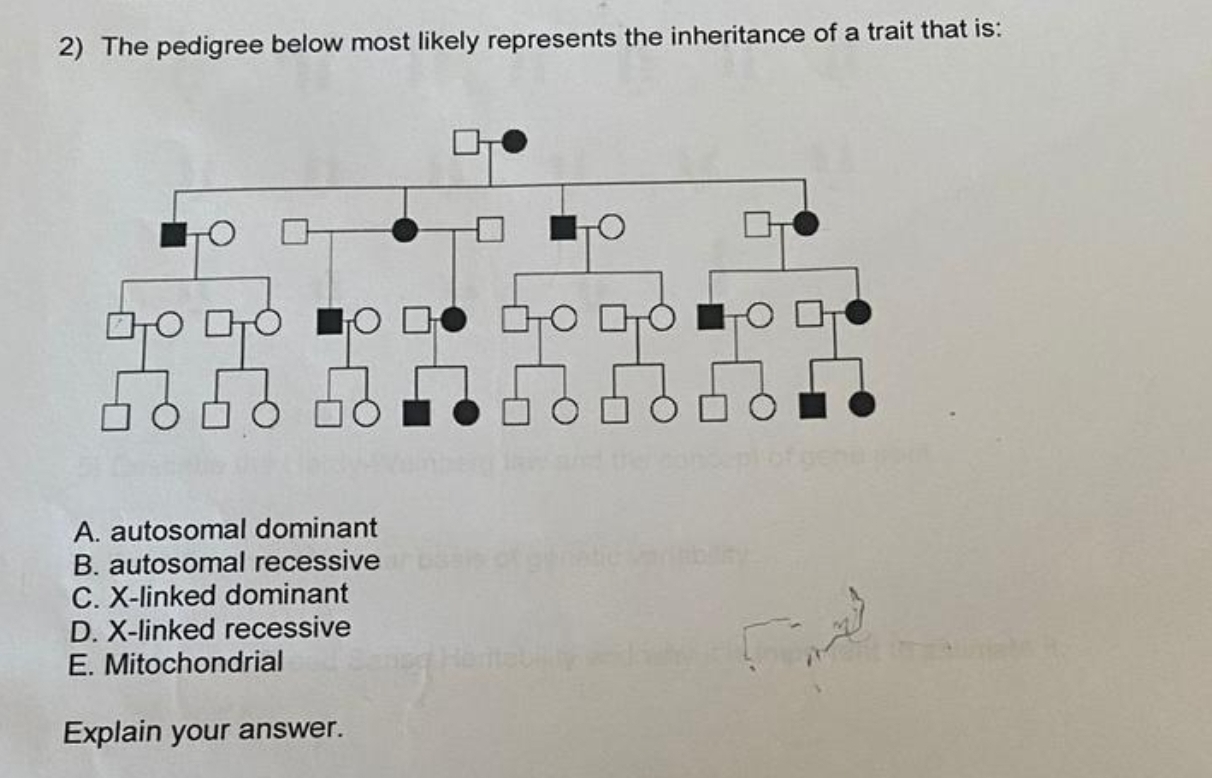 SOLVED: 2) The Pedigree Below Most Likely Represents The Inheritance Of ...