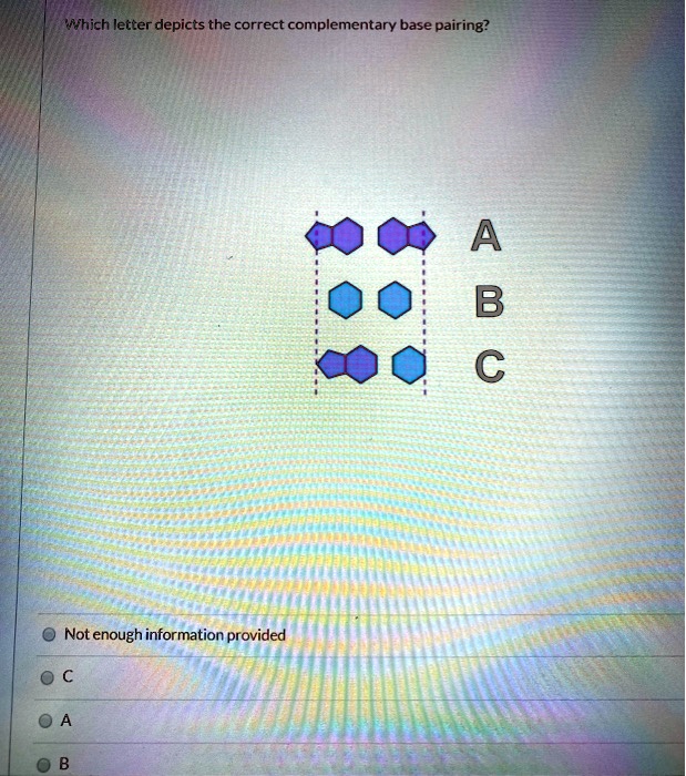 solved-hich-letter-depicts-the-correct-complementary-base-pairing-n