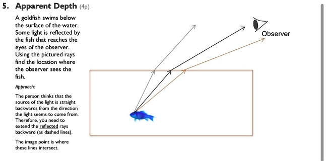 SOLVED: Apparent Depth: A goldfish swims below the surface of the water ...