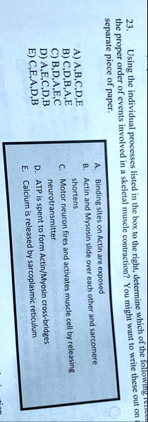 23 using the individual processes listed in the box to the right determine which of the following re the proper order of events involved in a skeletal muscle contraction you might want to wr 09664