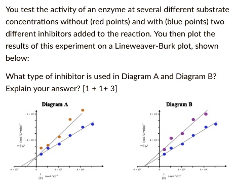 SOLVED: You test the activity of an enzyme at several different ...