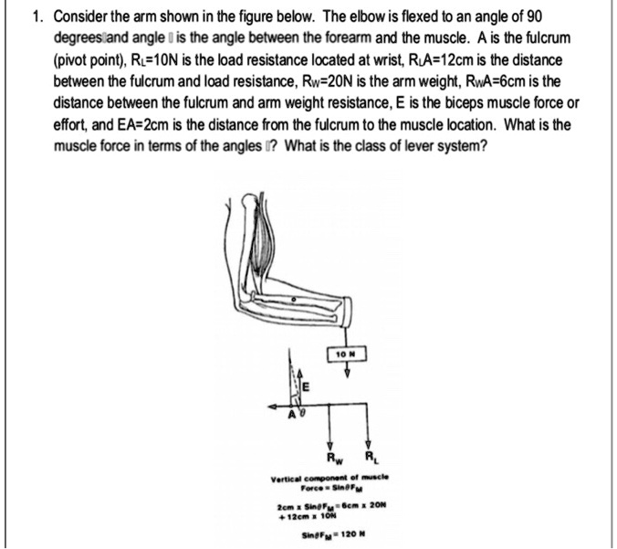 SOLVED: Consider the arm shown in the figure below. The elbow is flexed ...