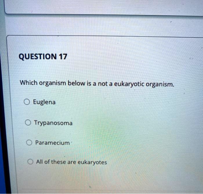 QUESTION 17 Which organism below is a not a eukaryotic...