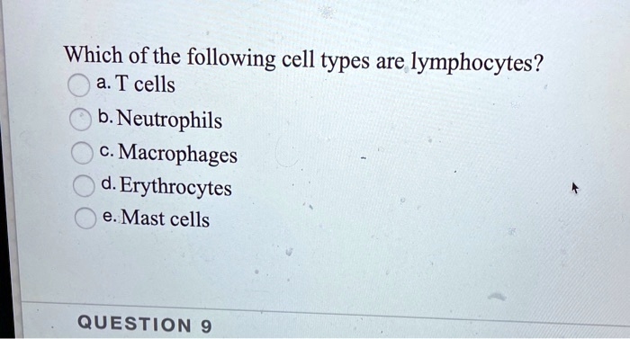 Which of the following cell types are lymphocytes?
a. T cells
b. Neutrophils
c. Macrophages
d. Erythrocytes
e. Mast cells