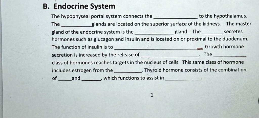 b endocrine system the hypophyseal portal system connects the pituitary ...