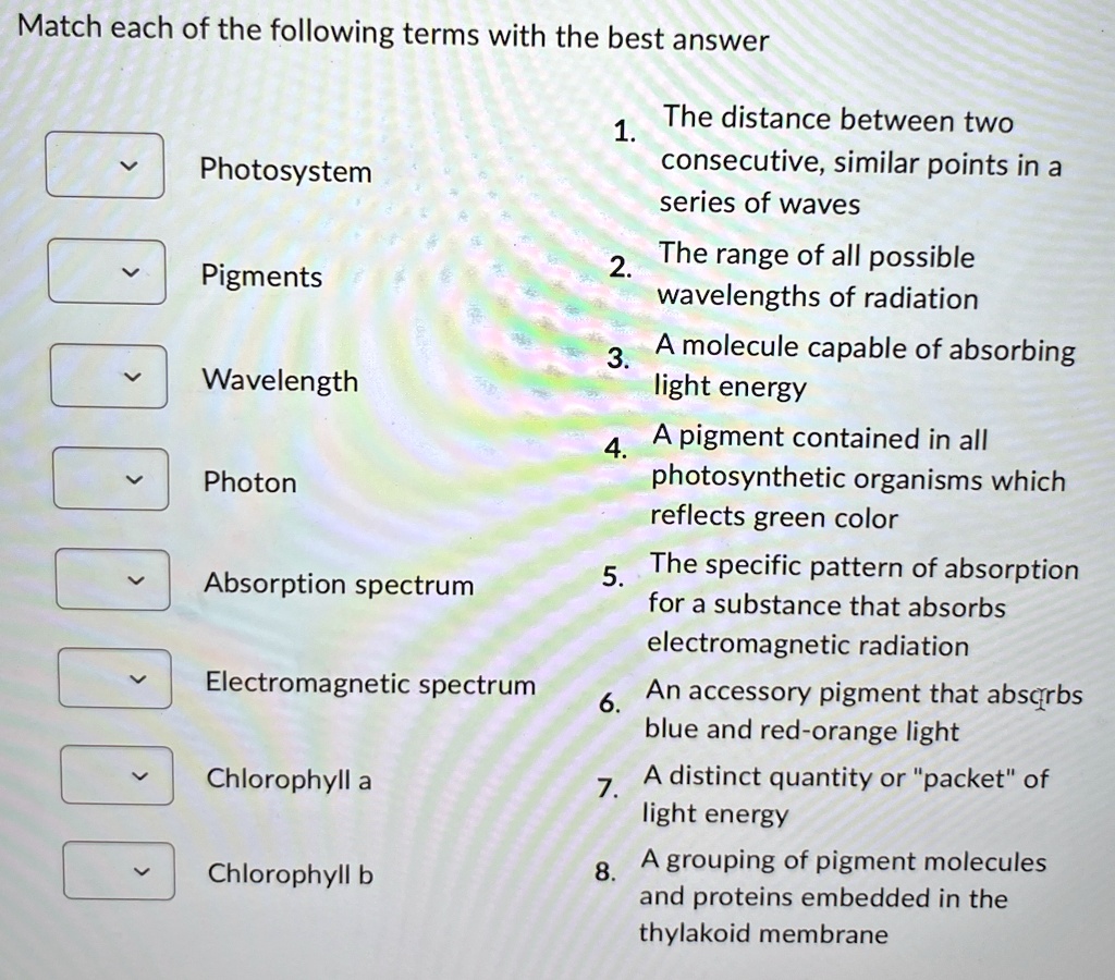 Match each of the following terms with the best answer
1.
The distance between two
consecutive, similar points in a
Photosystem
series of waves
2.
The range of all possible
Pigments
wavelengths of radiation
3.
A molecule capable of absorbing
Wavelength
light energy
4.
A pigment contained in all
Photon
photosynthetic organisms which
reflects green color
5.
Absorption spectrum
The specific pattern of absorption
for a substance that absorbs
electromagnetic radiation
6.
An accessory pigment that absorbs
Electromagnetic spectrum
blue and red-orange light
7.
A distinct quantity or "packet" of
Chlorophyll a
light energy
8.
A grouping of pigment molecules
Chlorophyll b
and proteins embedded in the
thylakoid membrane