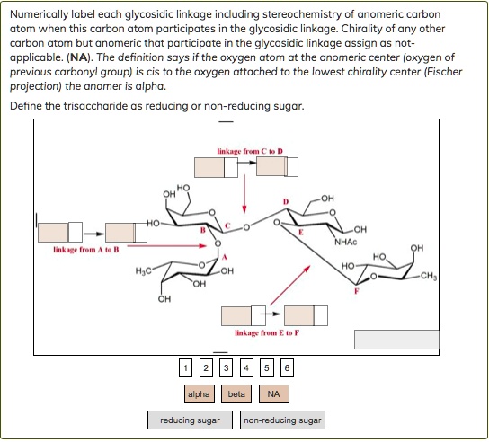 SOLVED: Numerically labe eacn glycosidic linkage including ...