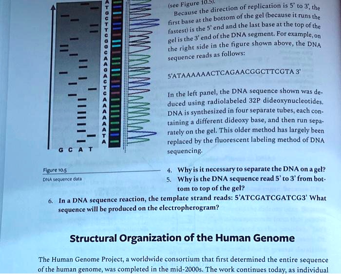 [GET ANSWER] GCAT Figure 10.5 DNA sequence data (see Figure 10.5 ...