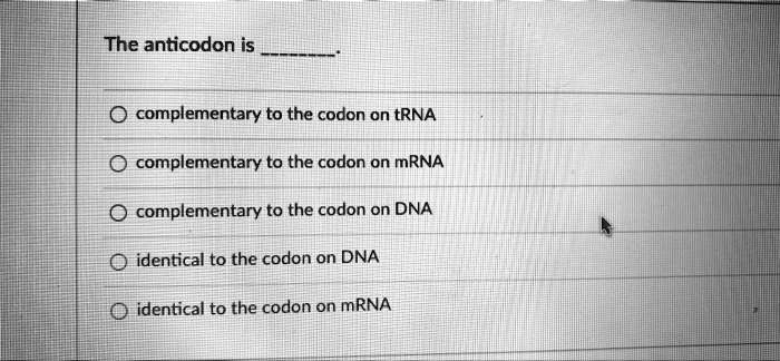 The anticodon is complementary to the codon on tRNA complementary to ...