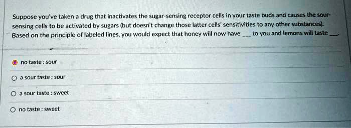 Suppose you've taken a drug that inactivates the sugar-sensing receptor cells in your taste buds and causes the sour-sensing cells to be activated by sugars (but doesn't change those latter cells' sensitivities to any other substances). Based on the principle of labeled lines, you would expect that honey will now have  to you and lemons will taste .
no taste : sour
a sour taste : sour
a sour taste : sweet
no taste : sweet