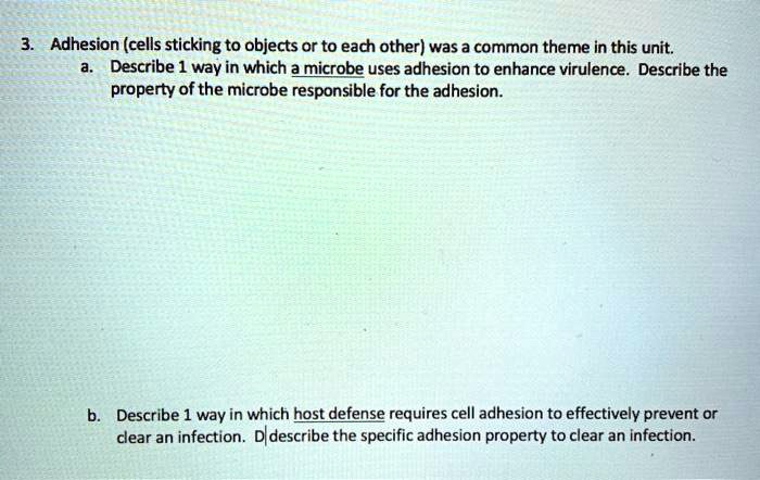 VIDEO solution: Adhesion (cells sticking to objects or to each other ...