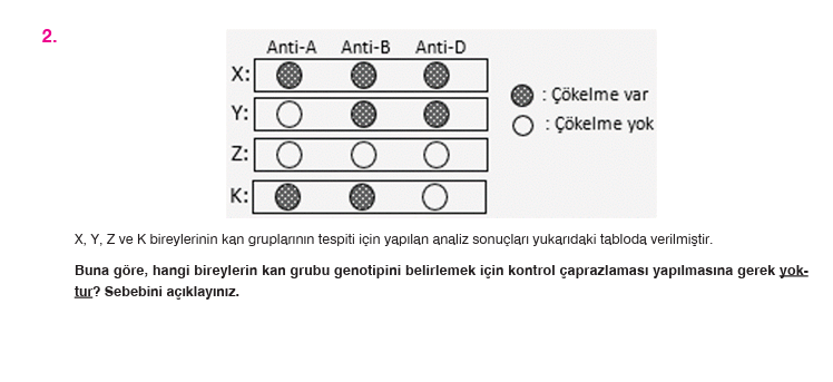 SOLVED: 2. X, Y, Z Ve K Bireylerinin K?n Grupl??n?n Tespiti Için Yap ...