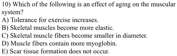 10) Which of the following is an effect of aging on the muscular
system?
A) Tolerance for exercise increases.
B) Skeletal muscles become more elastic.
C) Skeletal muscle fibers become smaller in diameter.
D) Muscle fibers contain more myoglobin.
E) Scar tissue formation does not occur.