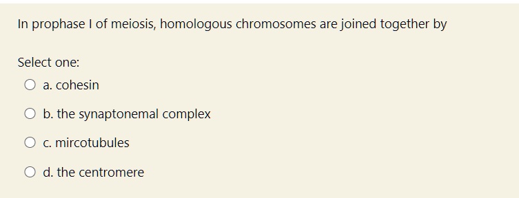 In prophase I of meiosis, homologous chromosomes are joined together by

a. cohesin
b. the synaptonemal complex
c. mircotubules
d. the centromere