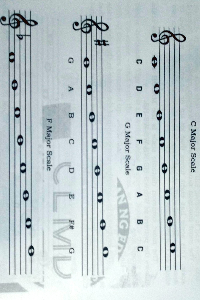 answer the following questions in your notebook lookat the ...