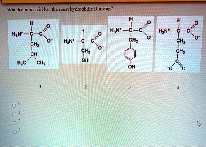 aspartic-acid-r-group