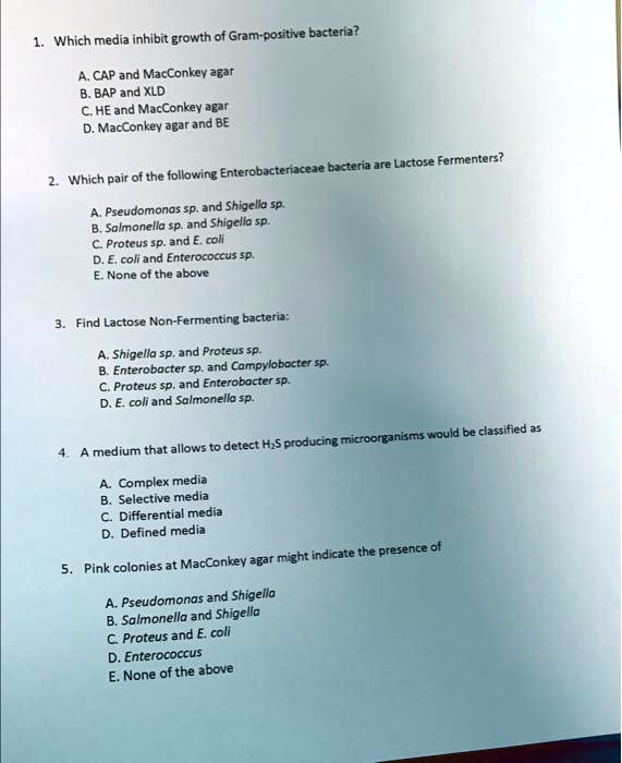 SOLVED: Which Media Inhibit The Growth Of Gram-positive Bacteria? A ...
