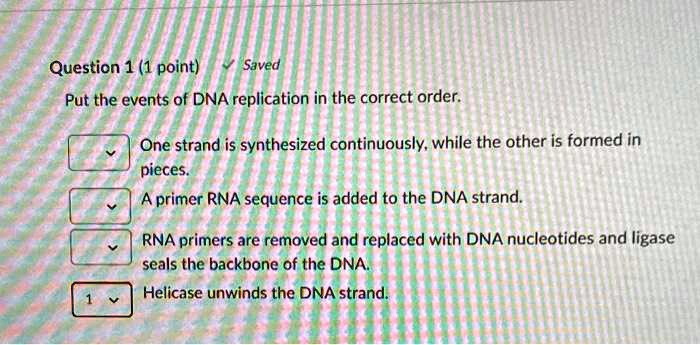 Put the events of DNA replication in the correct order.
One strand is synthesized continuously, while the other is formed in pieces.
A primer RNA sequence is added to the DNA strand.
RNA primers are removed and replaced with DNA nucleotides and ligase seals the backbone of the DNA.
Helicase unwinds the DNA strand.