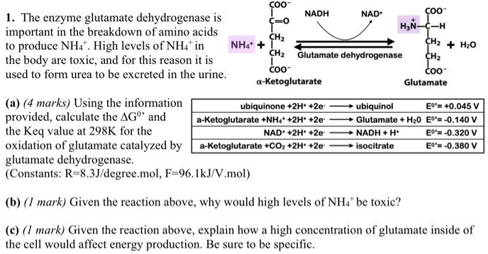 SOLVED: Coo NADH NAD+ COO The enzyme glutamate dehydrogenase is ...