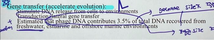 Gene transfer (accelerate evolution):
Stimulate DNA release from cells to environments
Transduction lateral gene transfer
Estimated that phage DNA contributes 3.5% of total DNA recovered from
freshwater, estuarine and offshore marine environments