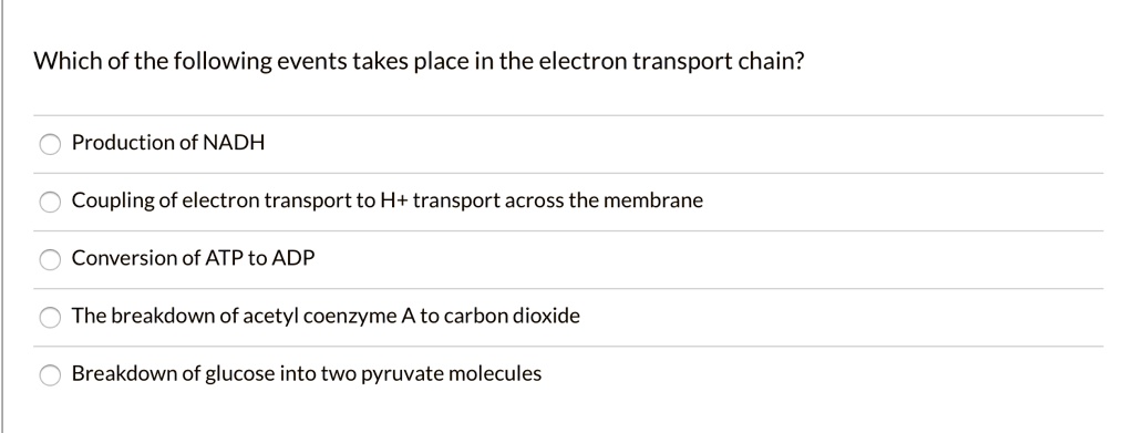 Which of the following events takes place in the electron transport chain?

Production of NADH
Coupling of electron transport to H+ transport across the membrane
Conversion of ATP to ADP
The breakdown of acetyl coenzyme A to carbon dioxide
Breakdown of glucose into two pyruvate molecules