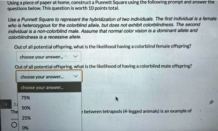 using piece of paper at home construct a punnett square using the following prompt and answer the questions below this question is worth 10 points total use punnett square to represent the h 31545