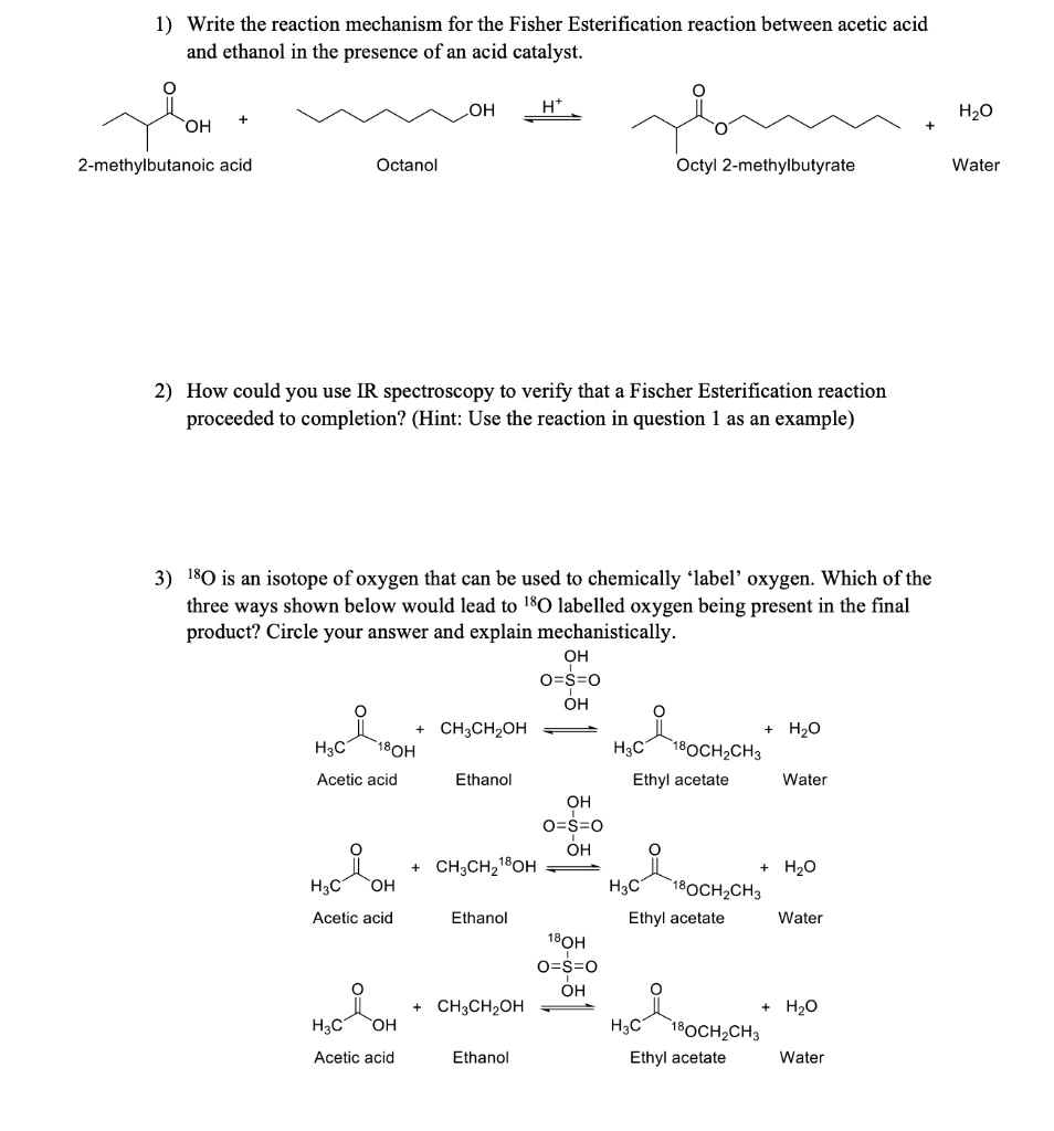 SOLVED: 1) Write the reaction mechanism for the Fischer Esterification ...