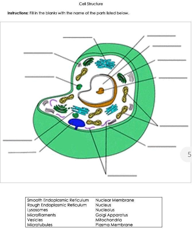 VIDEO solution: Can someone help me to fill in the names in the blanks ...