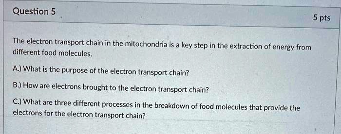 SOLVED: Question 5 5 pts The electron transport chain in the ...