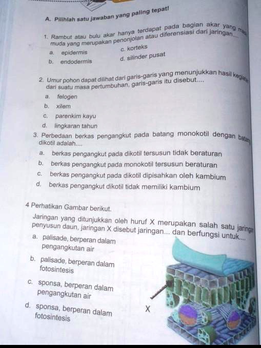 SOLVED: Kak Bantu Kak Bantu Kak Bantu Kak Bantu Tugas Ipa Paling Tapatl ...