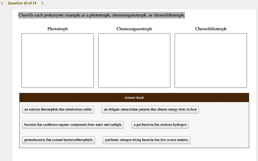 Classify each prokaryote example as a phototroph, chemoorganotroph, or chemolithotroph.
Phototroph
Chemoorganotroph
Chemolithotroph
Answer Bank
an extreme thermophile that metabolizes sulfur
an obligate intracellular parasite that obtains energy from its host
bacteria that synthesize organic compounds from water and sunlight
a gut bacteria that oxidizes hydrogen
proteobacteria that contain bacteriochlorophylls
symbiotic nitrogen-fixing bacteria that live in root nodules