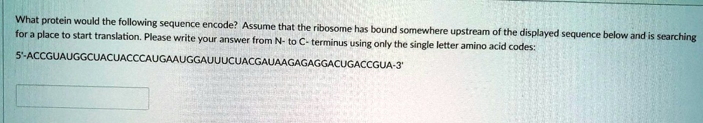 What protein would the following sequence encode? Assume that the ribosome has bound somewhere upstream of the displayed sequence below and is searching for a place to start translation. Please write your answer from N- to C- terminus using only the single letter amino acid codes:

5'-ACCGUAUGGCUACUACCCAUGAAUGGAUUUCUACGAUAAGAGAGGACUGACCGUA-3'