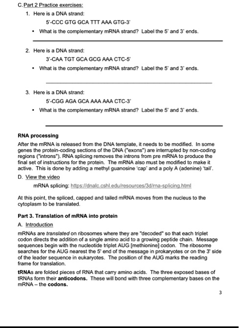 C. Part 2 Practice exercises:
1. Here is a DNA strand:
5'-CCC GTG GCA TTT AAA GTG-3'
• What is the complementary mRNA strand? Label the 5' and 3' ends.
2. Here is a DNA strand:
3'-CAA TGT GCA GCG AAA CTC-5'
• What is the complementary mRNA strand? Label the 5' and 3' ends.
3. Here is a DNA strand:
5'-CGG AGA GCA AAA AAA CTC-3'
• What is the complementary mRNA strand? Label the 5' and 3' ends.
RNA processing
After the mRNA is released from the DNA template, it needs to be modified. In some genes the protein-coding sections of the DNA ("exons") are interrupted by non-coding regions ("introns"). RNA splicing removes the introns from pre mRNA to produce the final set of instructions for the protein. The mRNA also must be modified to make it active. This is done by adding a methyl guanosine 'cap' and a poly A (adenine) 'tail'.
D. View the video
mRNA splicing: https://dnalc.cshl.edu/resources/3d/rna-splicing.html
At this point, the spliced, capped and tailed mRNA moves from the nucleus to the cytoplasm to be translated.
Part 3. Translation of mRNA into protein
A. Introduction
mRNAs are translated on ribosomes where they are "decoded" so that each triplet codon directs the addition of a single amino acid to a growing peptide chain. Message sequences begin with the nucleotide triplet AUG [methionine] codon. The ribosome searches for the AUG nearest the 5' end of the message in prokaryotes or on the 3' side of the leader sequence in eukaryotes. The position of the AUG marks the reading frame for translation.
tRNAs are folded pieces of RNA that carry amino acids. The three exposed bases of tRNAs form their anticodons. These will bond with three complementary bases on the mRNA – the codons.