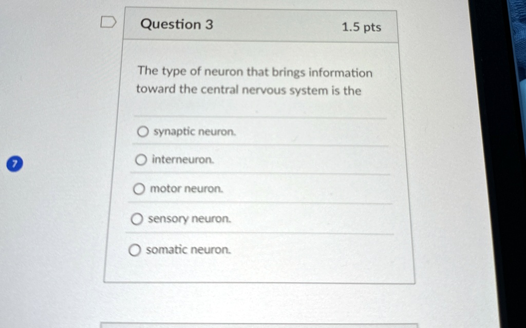 Question 3 1.5 pts The type of neuron that brings information toward ...