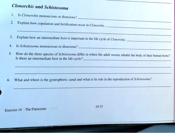 SOLVED Clonorchis and Schistosoma Is Clonorchis monoecious or