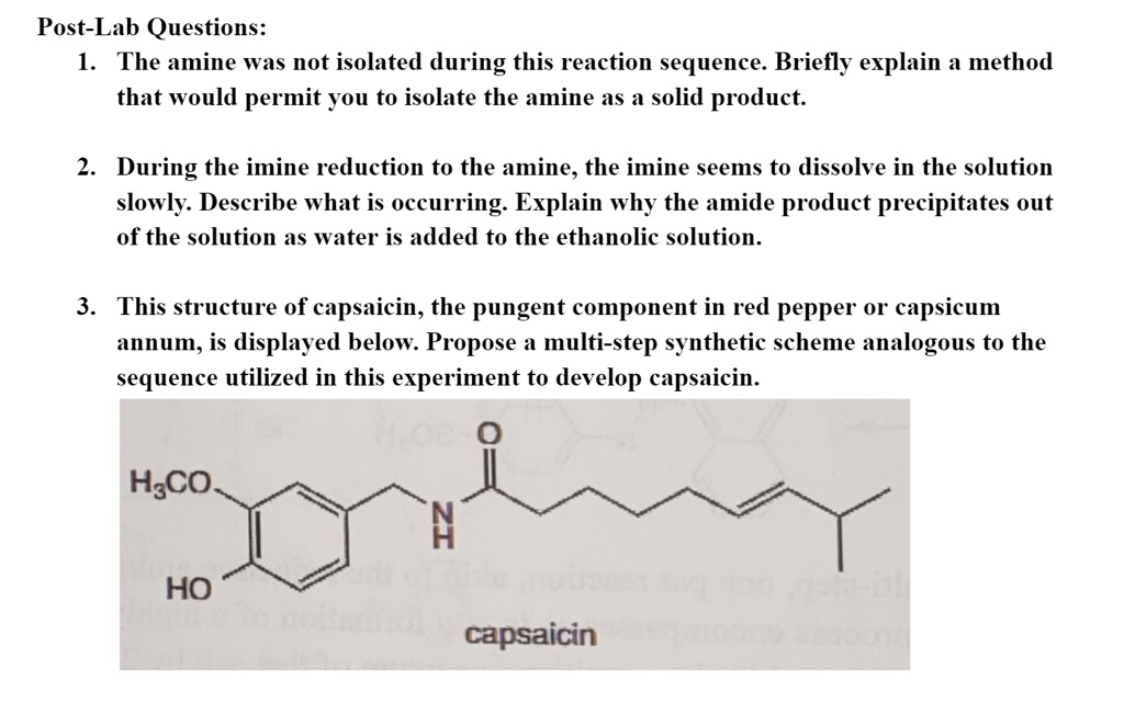 Post-Lab Questions:
1. The amine was not isolated during this reaction sequence. Briefly explain a method
that would permit you to isolate the amine as a solid product.
2. During the imine reduction to the amine, the imine seems to dissolve in the solution
slowly. Describe what is occurring. Explain why the amide product precipitates out
of the solution as water is added to the ethanolic solution.
3. This structure of capsaicin, the pungent component in red pepper or capsicum
annum, is displayed below. Propose a multi-step synthetic scheme analogous to the
sequence utilized in this experiment to develop capsaicin.
