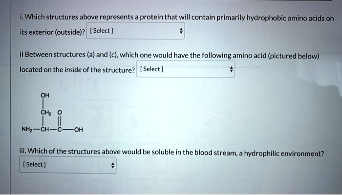 all hydrophobic amino acids